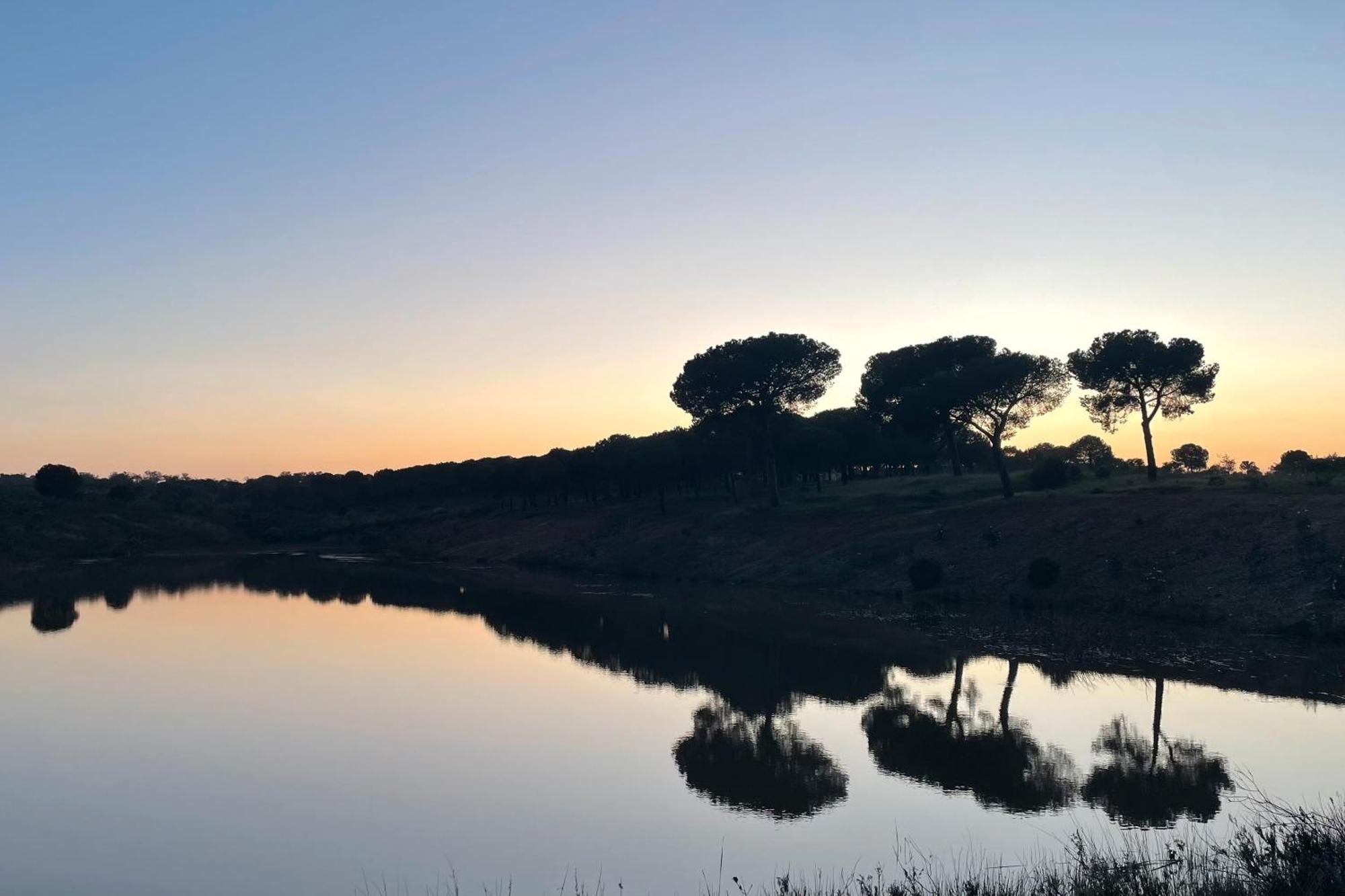 Sesmarias Dos Nobres Βίλα Azinheira dos Barros Εξωτερικό φωτογραφία